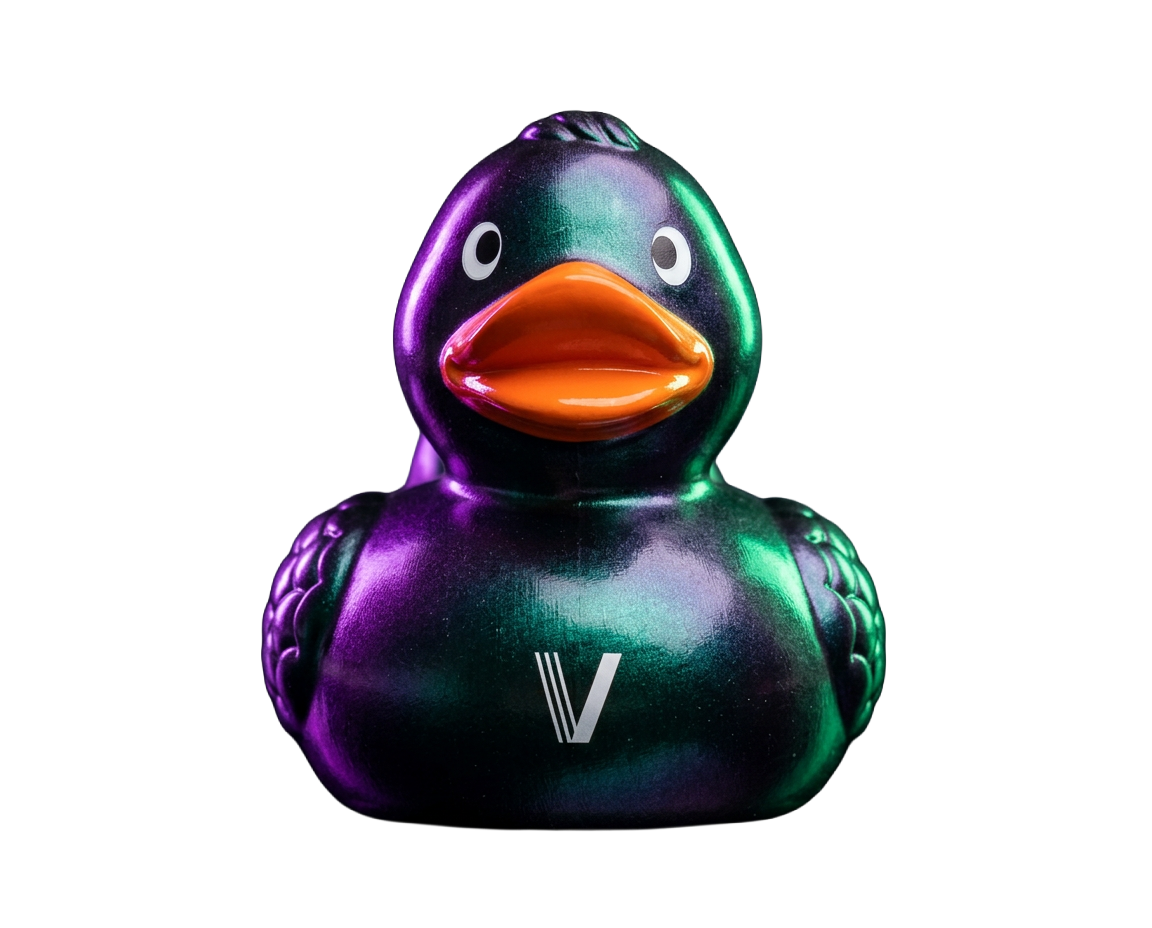 V-Duck Ventures hero